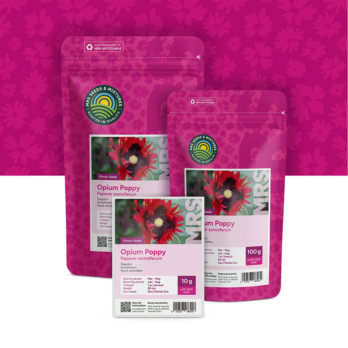 Slaapbol – Papaver Somniferum – Maanzaad