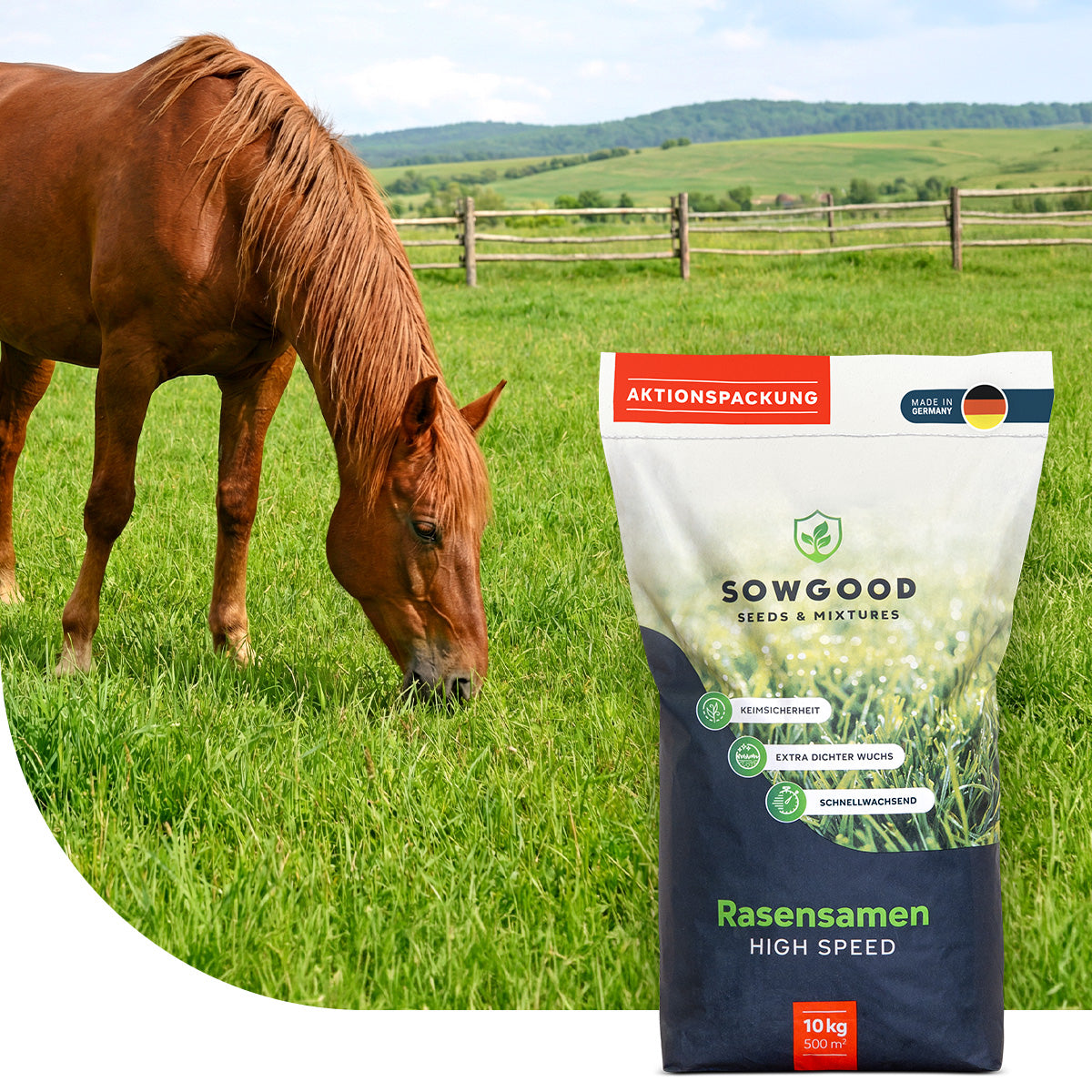 Graszaad Paardenweide - Laag fructaan