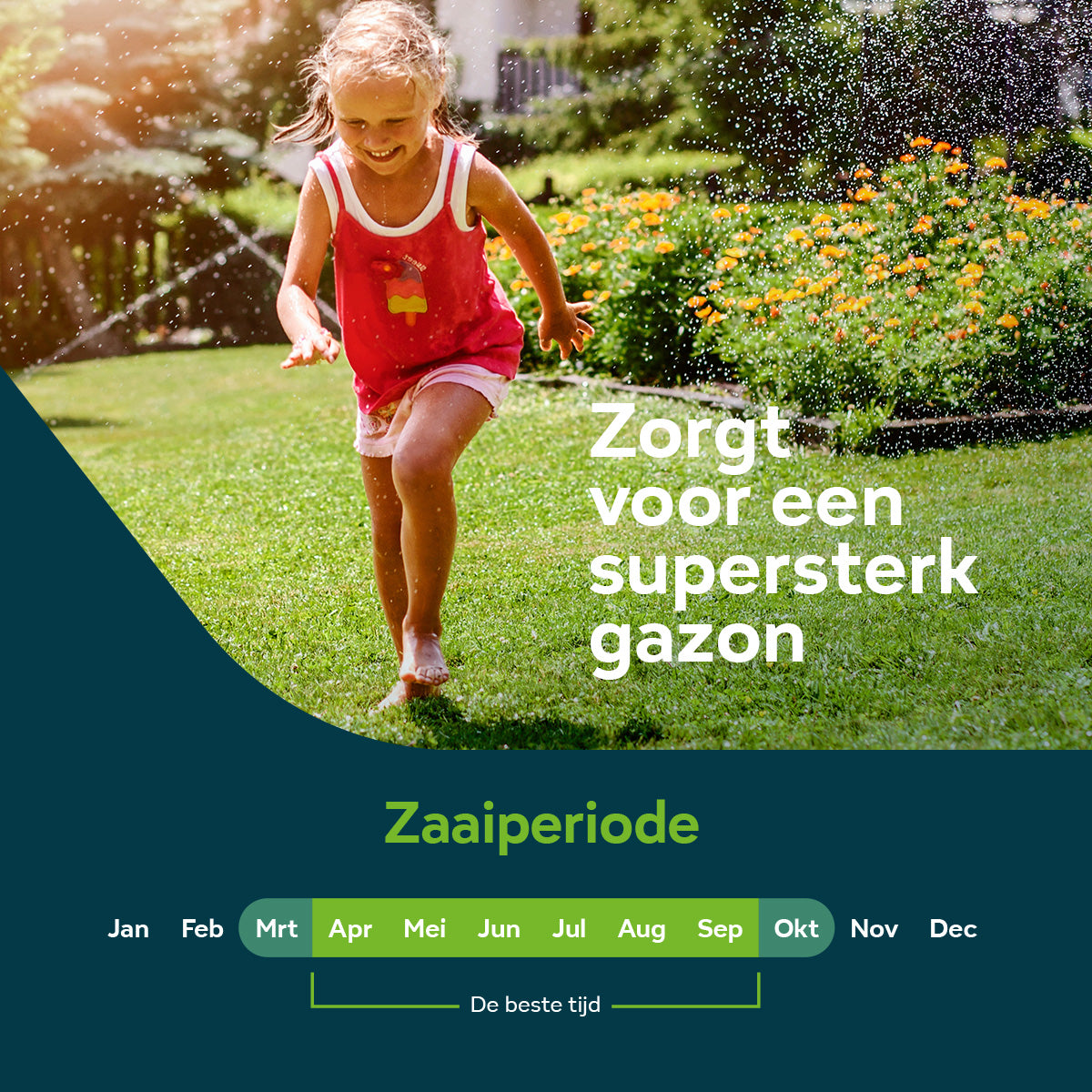 Sowgood Snelkiemend graszaad graszaad 10 kg - 500 m² [nl]