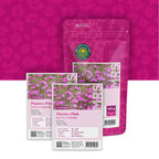 Steenanjer – Dianthus deltoides
