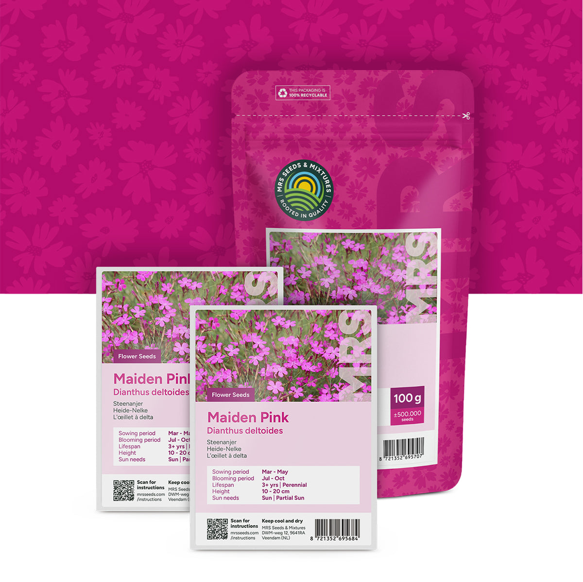 Steenanjer – Dianthus deltoides