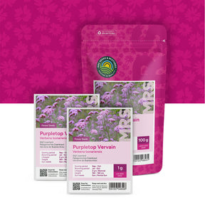 Stijf IJzerhard – verbena bonariensis