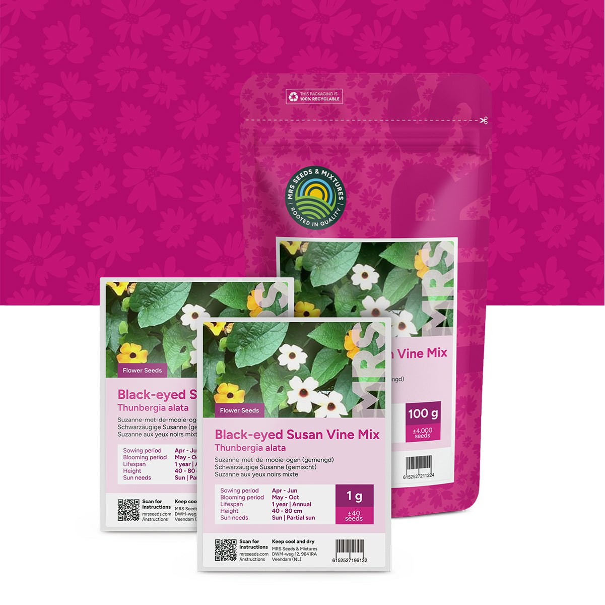 Suzanne-met-de-mooie-ogen (gemengd) – Thunbergia alata