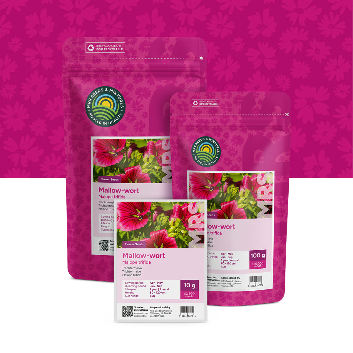 Trechtermalva – Malope trifida