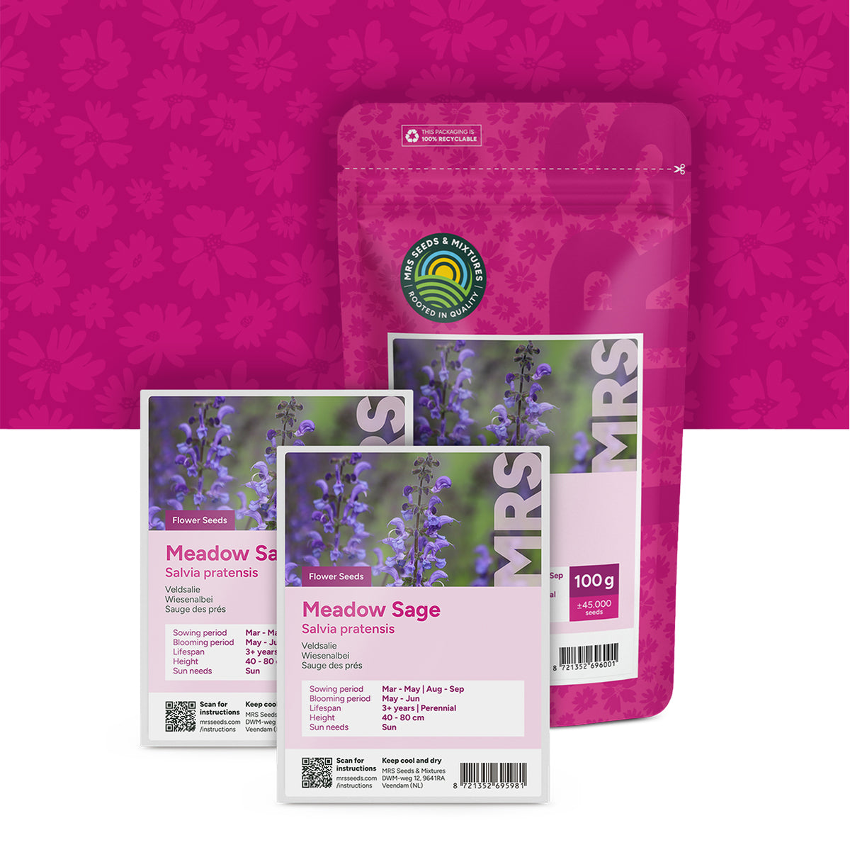 Veldsalie – Salvia pratensis