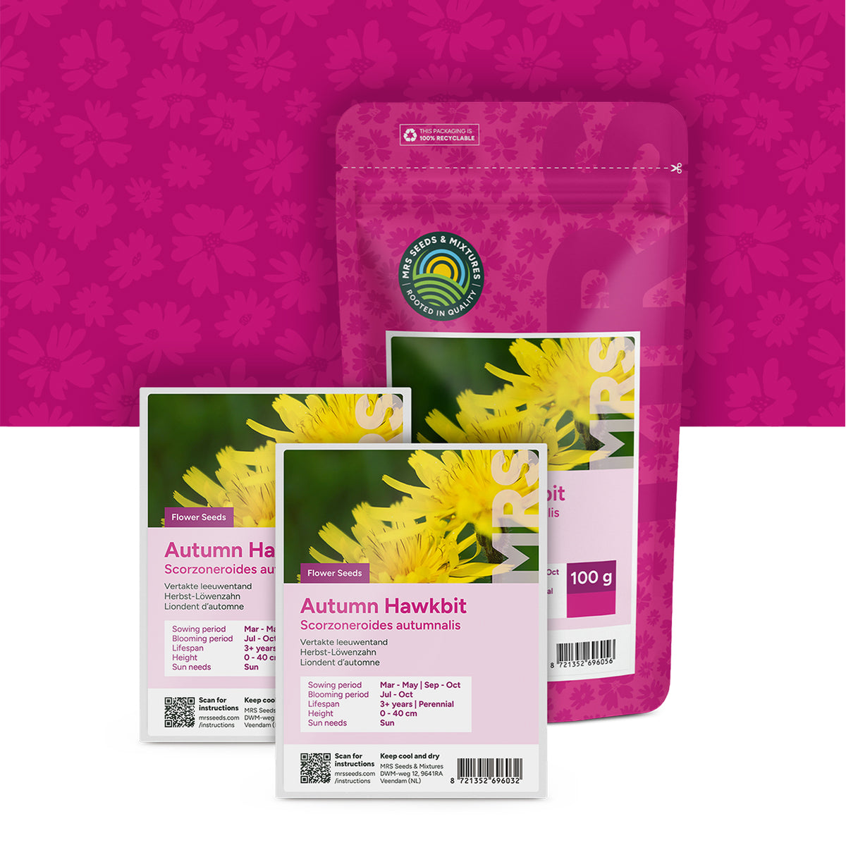 Vertakte Leeuwentand – Scorzoneroides autumnalis