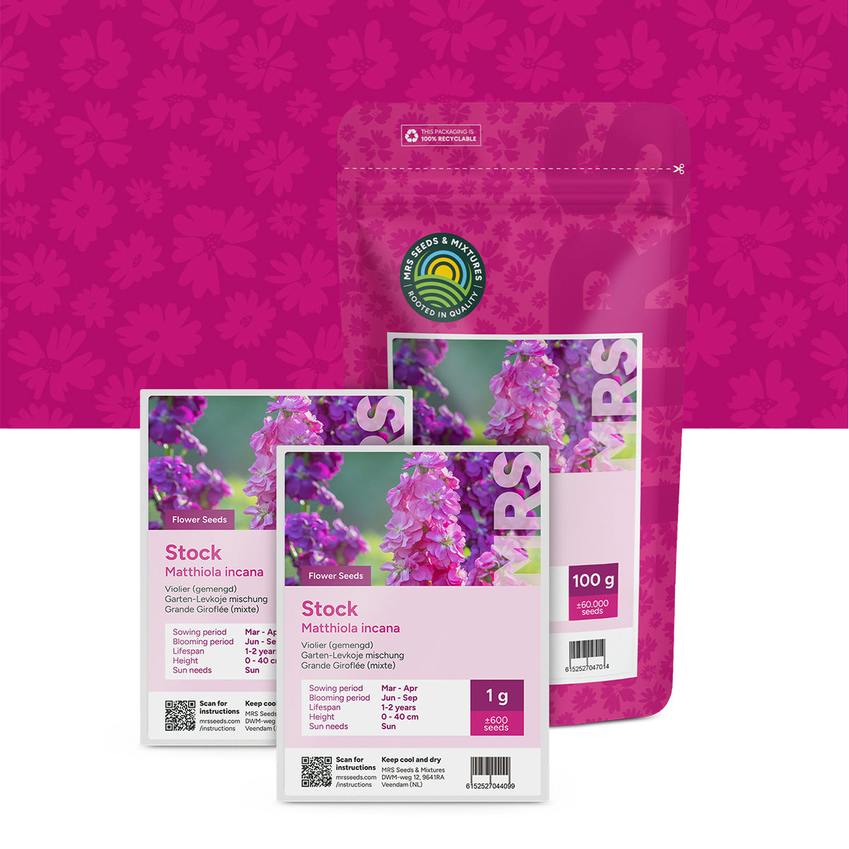 Violier (gemengd) – Matthiola incana