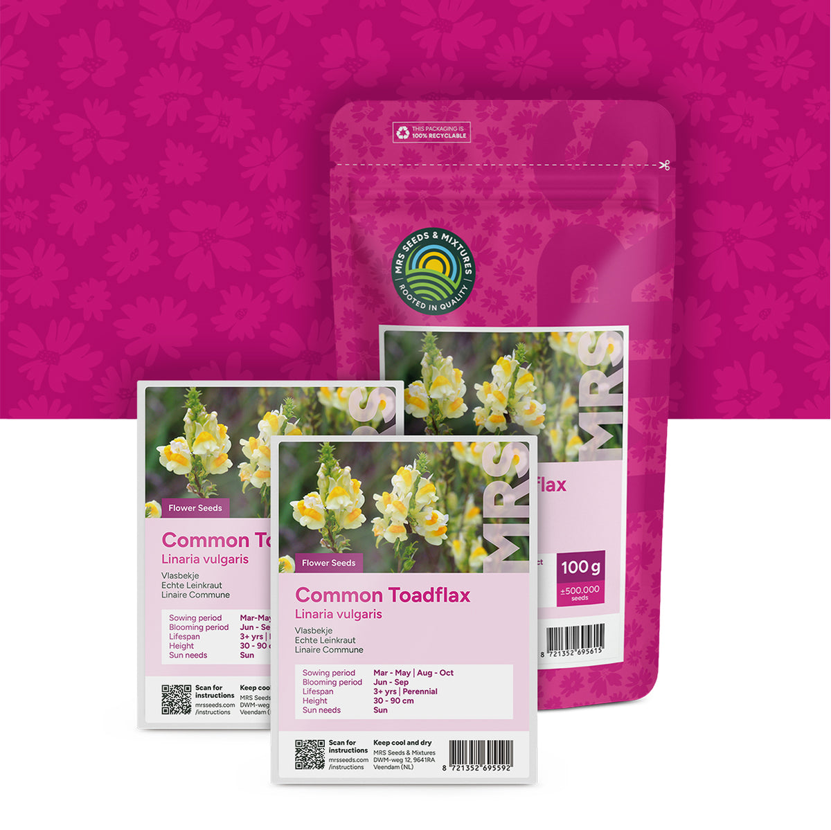 Vlasbekje – Linaria vulgaris