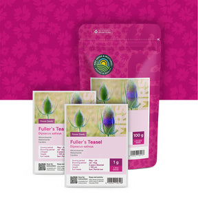 Weverskaarde  'Dipsacus sativus'