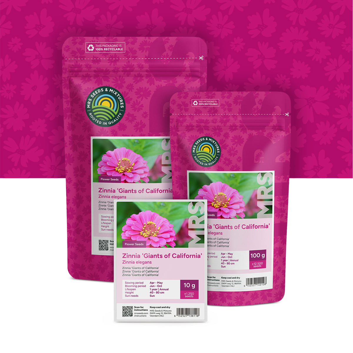 Zinnia 'Giants of California'