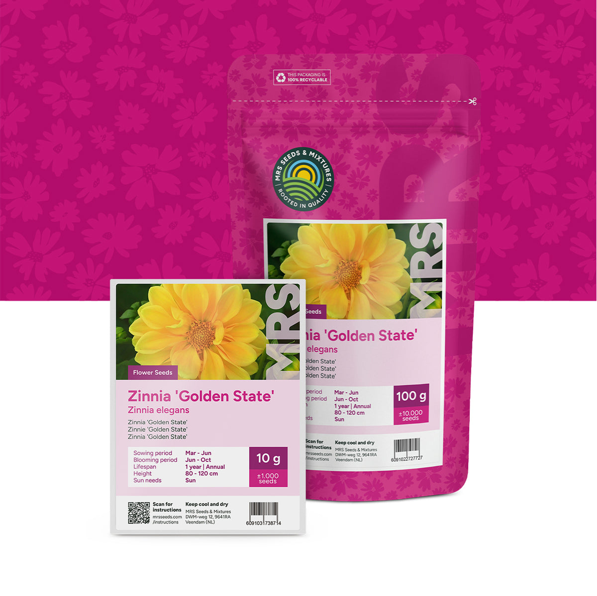 Zinnia elegans – Golden State