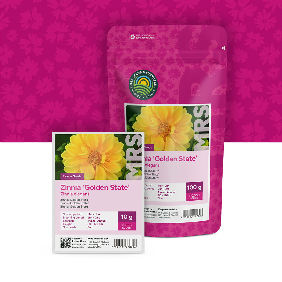 Zinnia elegans – Golden State