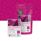 Zinnia elegans – Lilliput Purple Gem