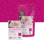 Zinnia elegans – Peppermint Stick
