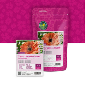 Zinnia elegans – Salmon Queen