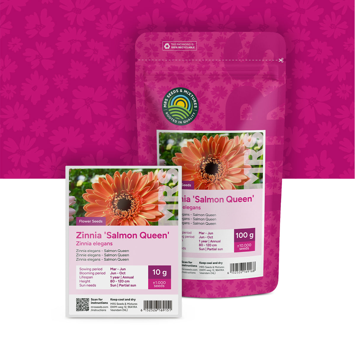 Zinnia elegans – Salmon Queen