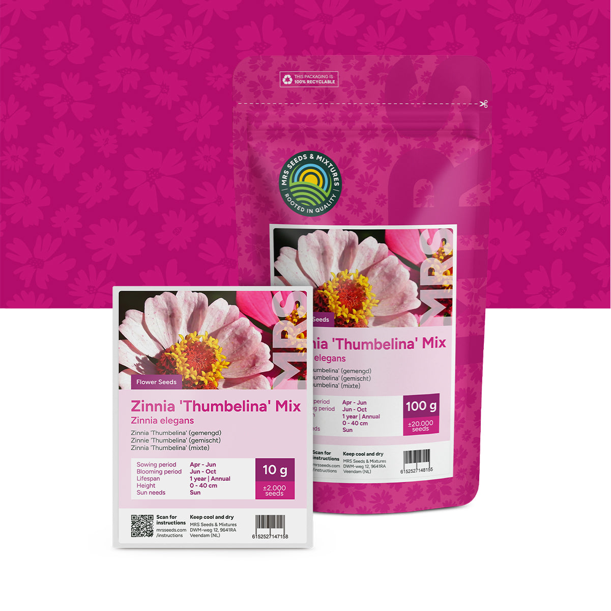 Zinnia elegans 'Thumbelina' (gemengd)
