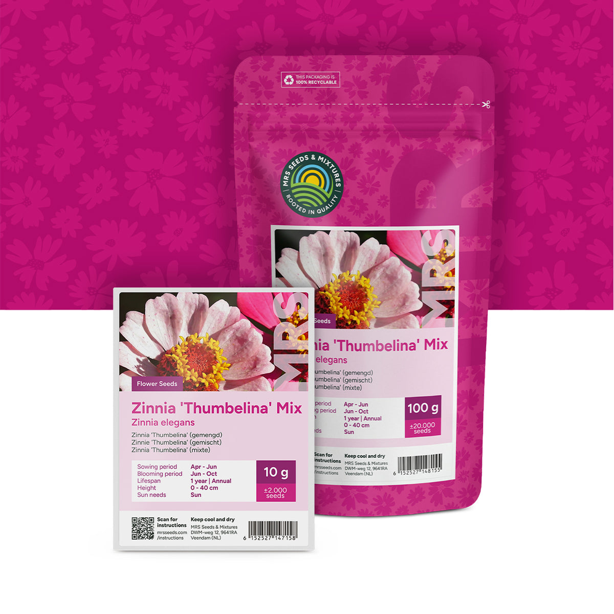 Zinnia elegans 'Thumbelina' (gemengd)