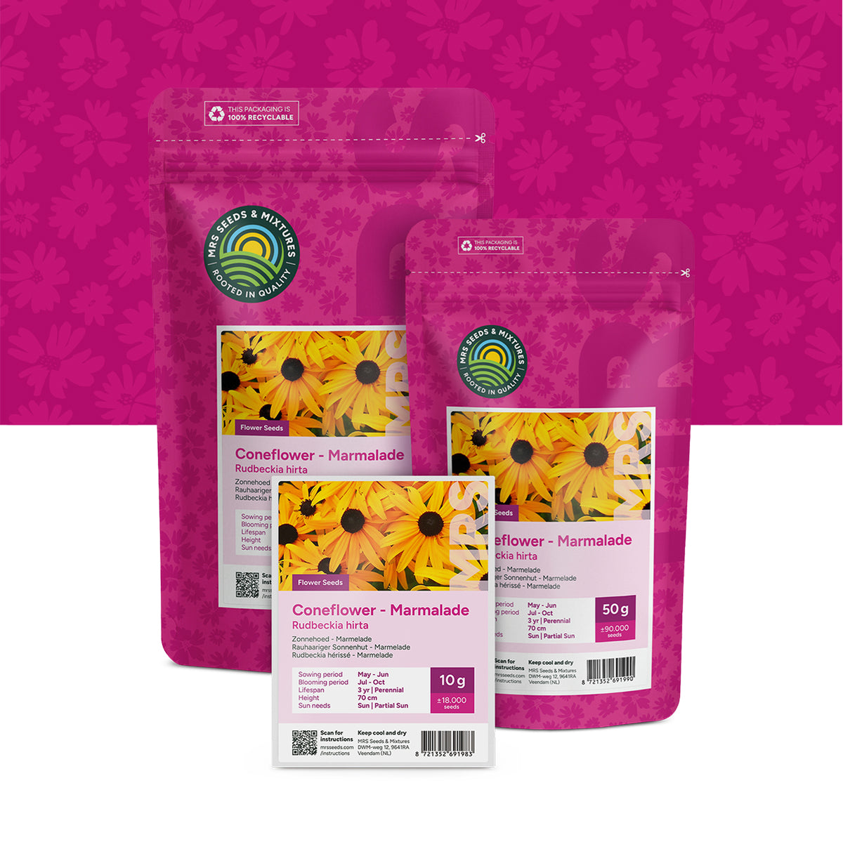 Zonnehoed 'Marmelade' – Rudbeckia hirta