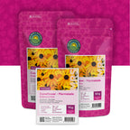 Zonnehoed 'Marmelade' – Rudbeckia hirta