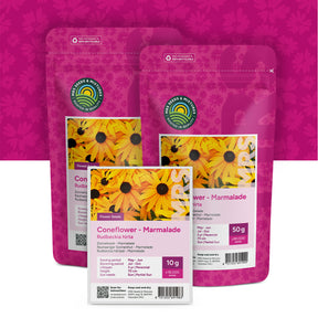 Zonnehoed 'Marmelade' – Rudbeckia hirta