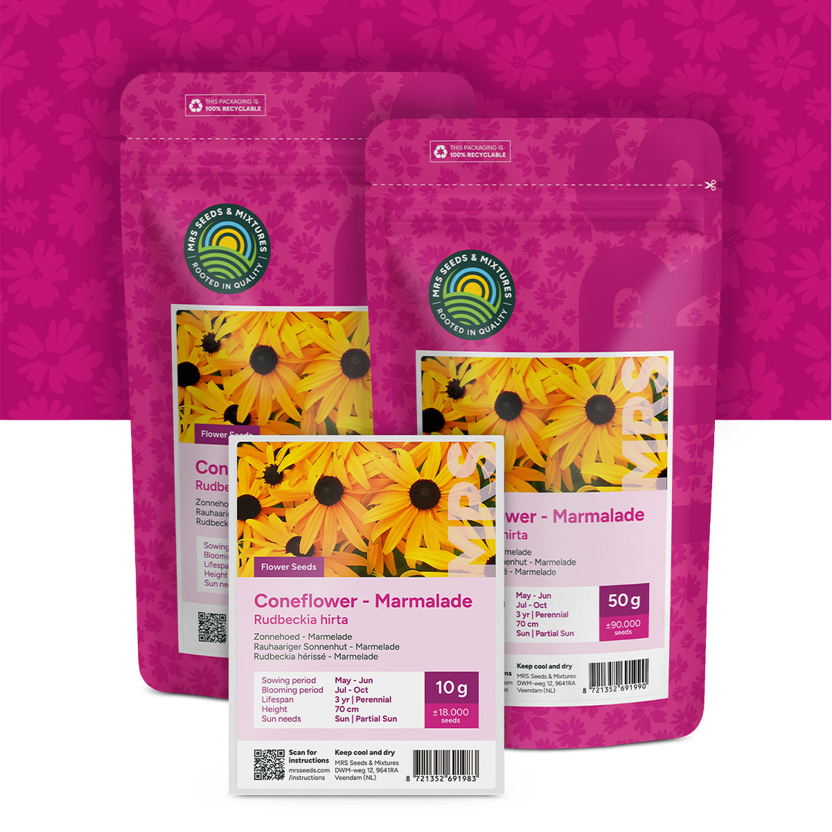 Zonnehoed 'Marmelade' – Rudbeckia hirta