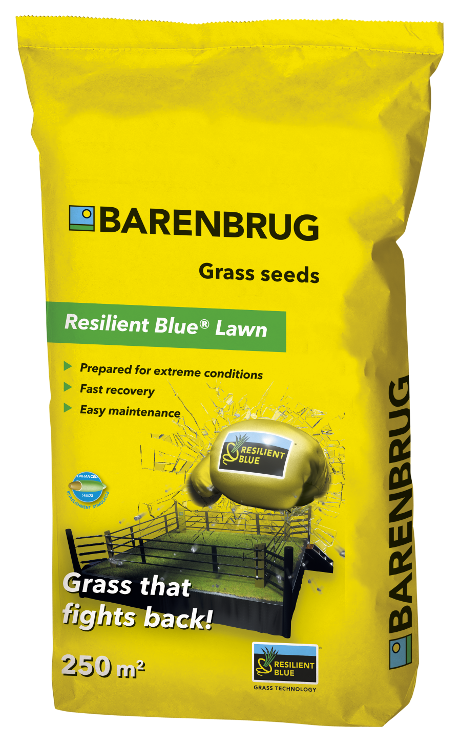 Barenbrug Resilient Blue Lawn | Barenbrug [nl]