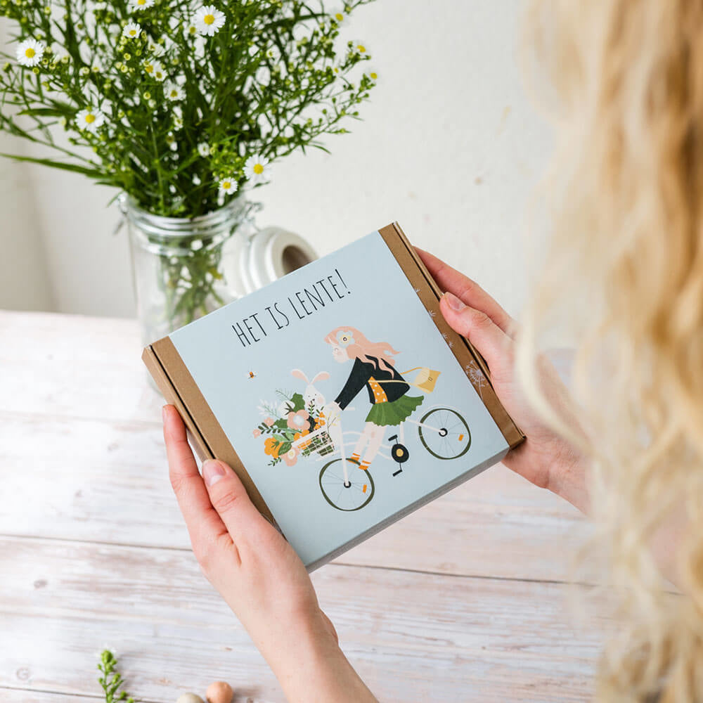 Blossombs Boîte cadeau 'It's Spring' boules de graines - 9 pièces [fr]