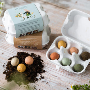 Blossombs Cadeau eierdoosje 'Het is Lente' - 6 zaadbolletjes [nl]