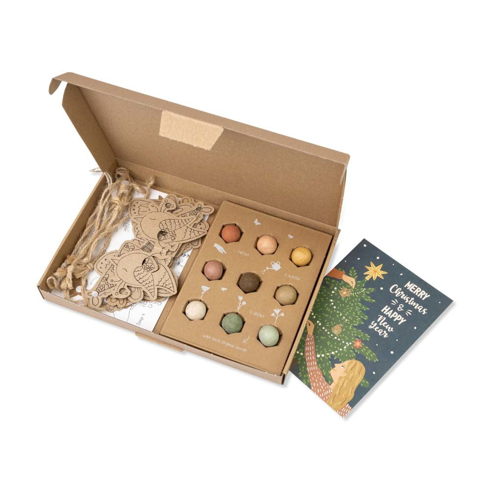 Blossombs Doe-het-zelf!  Giftbox Xmas [nl]