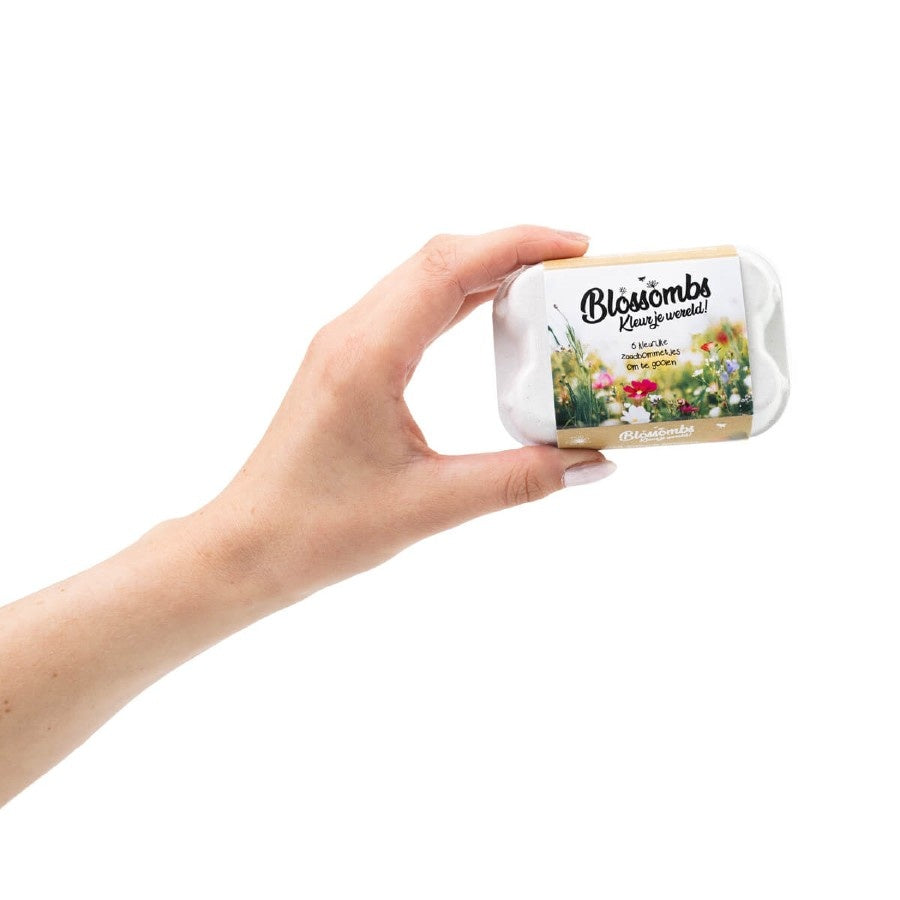 Blossombs Eggbox zaadbolletjes - 6 stuks [nl]