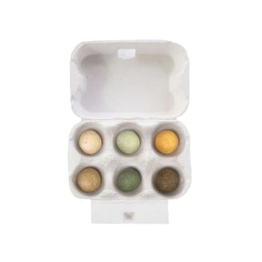 Blossombs Eggbox zaadbolletjes - 6 stuks [nl]