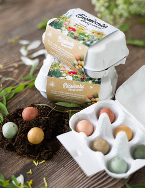 Blossombs Eggbox zaadbolletjes - 6 stuks [nl]