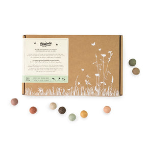 Blossombs Giftbox Large zaadbolletjes - 9 stuks [nl]