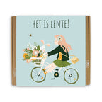 Blossombs Giftbox Medium 'Het is Lente' zaadbolletjes - 9 stuks [nl]