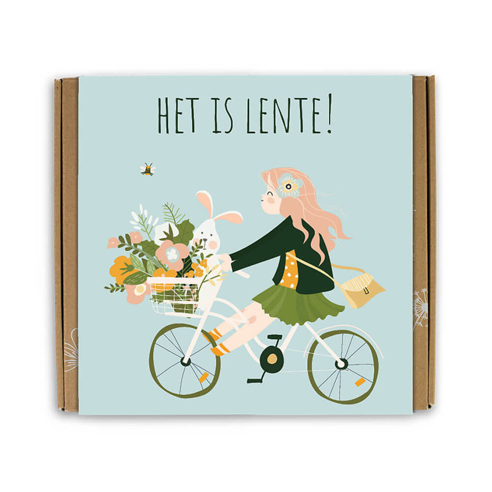 Blossombs Giftbox Medium 'Het is Lente' zaadbolletjes - 9 stuks [nl]