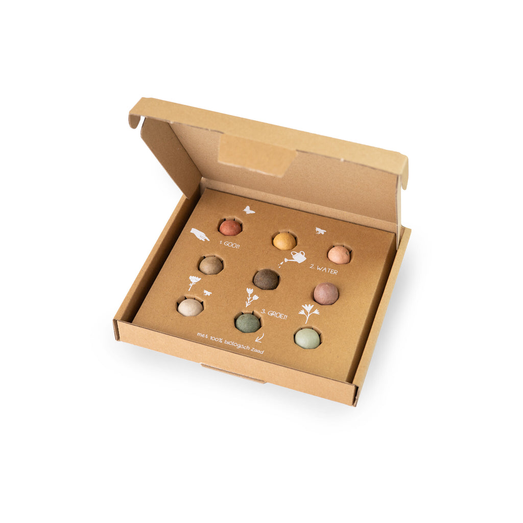 Blossombs Giftbox Medium - Most Colorful Time Of The Year - 9 stuks [nl]