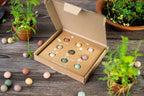 Blossombs Giftbox Medium - Most Colorful Time Of The Year - 9 stuks [nl]