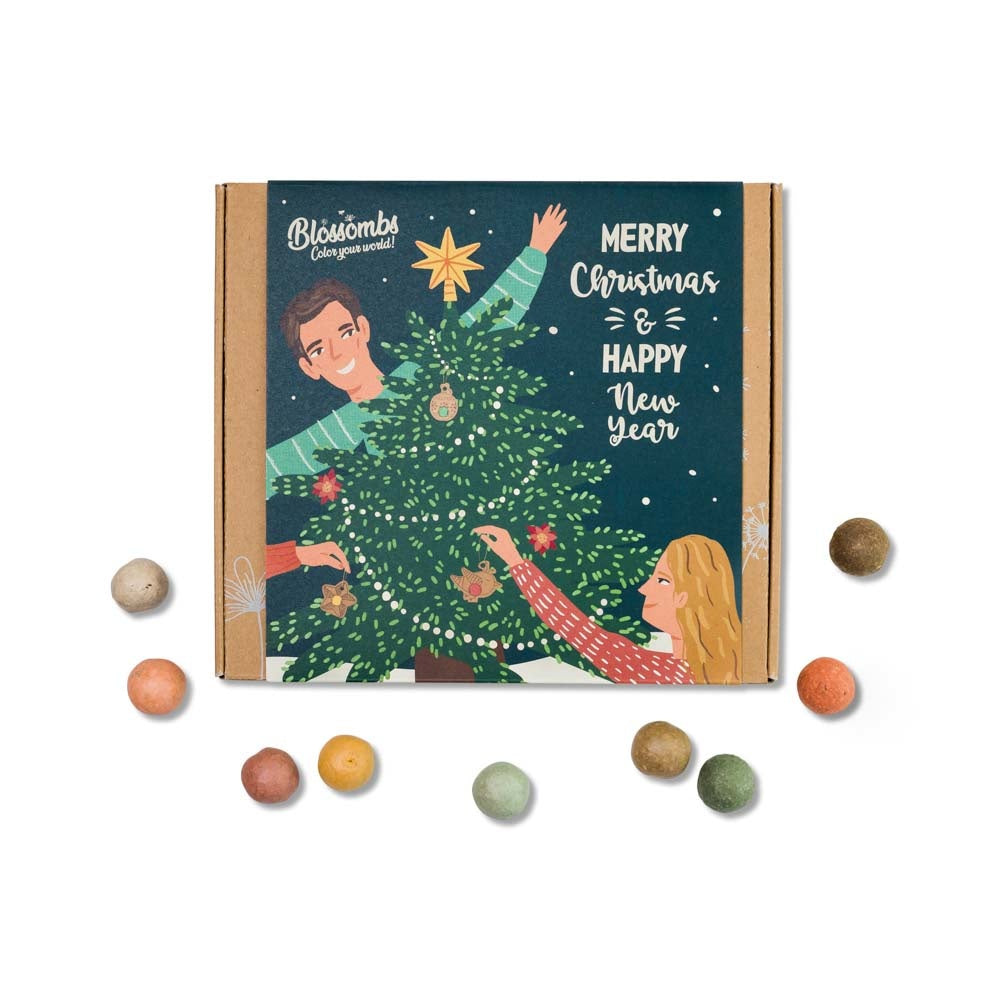 Blossombs Giftbox Medium 'Xmas' zaadbolletjes [nl]