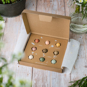 Blossombs Giftbox Medium 'Xmas' zaadbolletjes [nl]