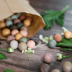 Kraftzak zaadbolletjes – Kies je kleur