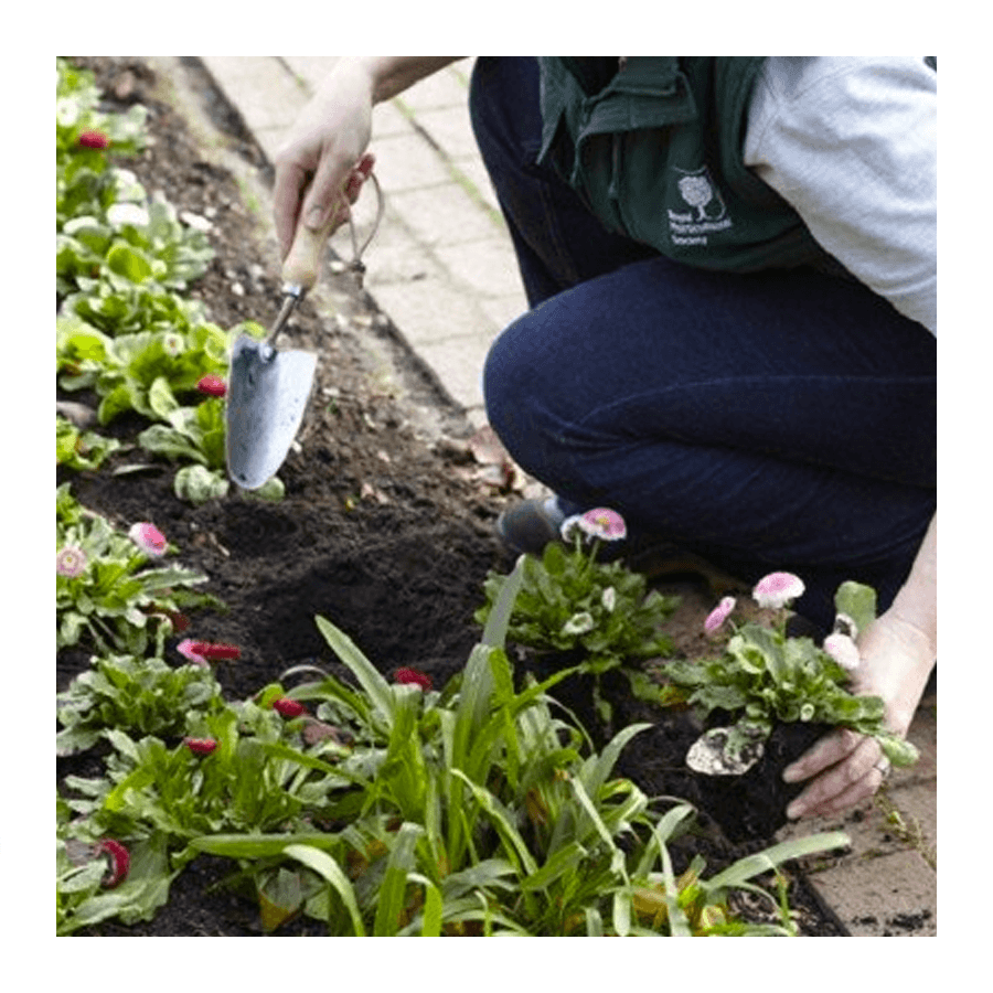 Burgon & Ball RHS Plantschopje met maatvoering (inch) [nl]