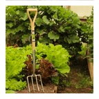 Burgon & Ball RHS Spitvork 4 tanden [nl]