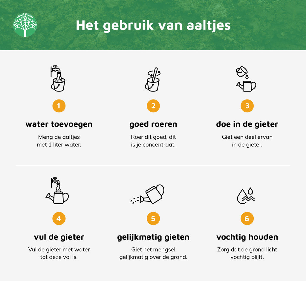 ECOstyle Aaltjes tegen Mieren [nl]
