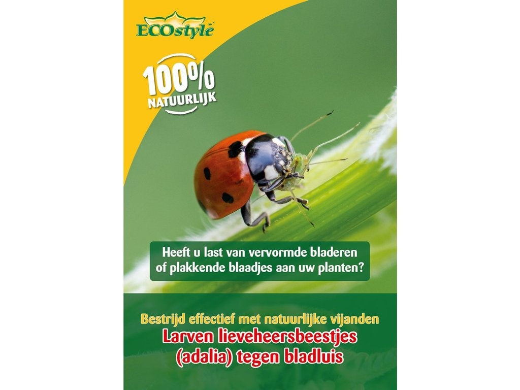 ECOstyle Larven lieveheersbeestje tegen bladluizen [nl]
