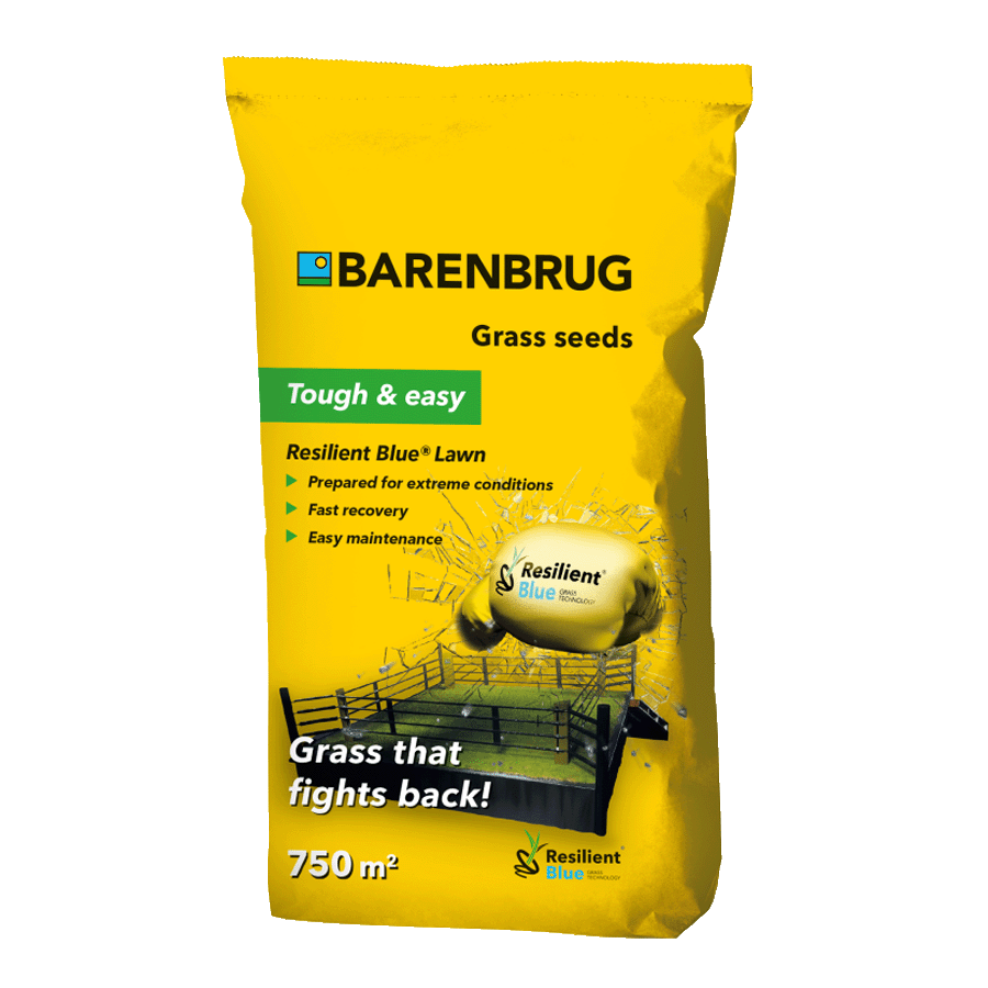 Barenbrug Resilient Blue®  Lawn 15kg - Spielrasen [de]