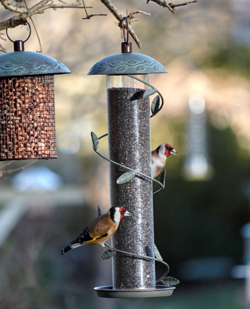 Secret Garden Spiraal Vink Feeder [nl]