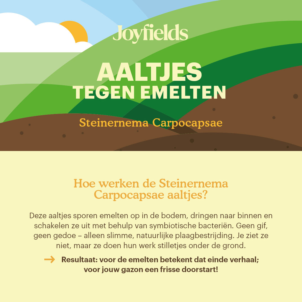 Joyfields Aaltjes tegen emelten (Steinernema carpocapsae) [nl]