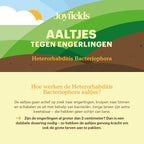 Joyfields Aaltjes tegen engerlingen (Heterorhabditis bacteriophora) [nl]