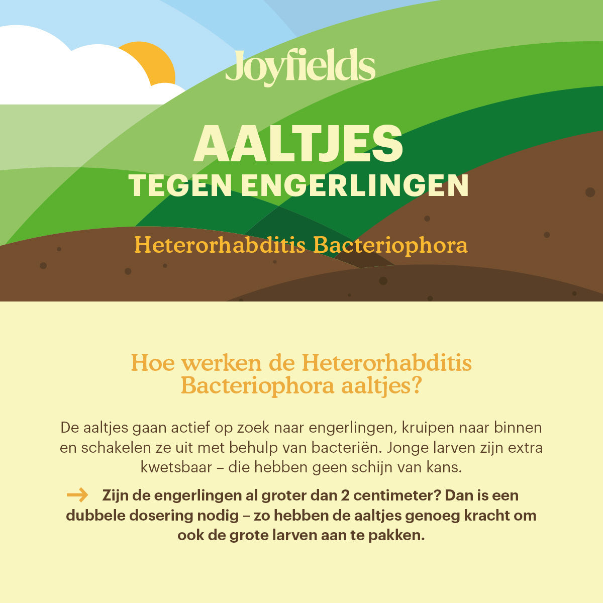 Joyfields Aaltjes tegen engerlingen (Heterorhabditis bacteriophora) [nl]
